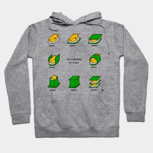 Cube Rule of Sushi Hoodie